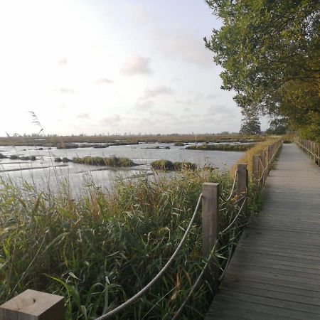 Casa Da Balseira Villa Aveiro Eksteriør bilde
